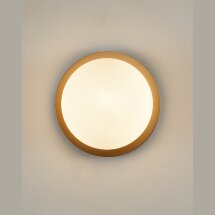 Настенно-потолочный светильник Moderli V2058-P Covey 1*G9*5W